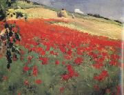 William blair bruce Landscape with Poppies (nn02) oil painting on canvas